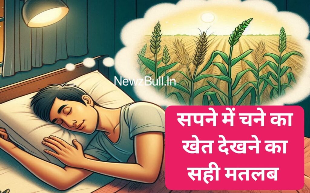 सपने में हरे चने का पौधा देखना sapne mein hare chane ka paudha dekhna. सपने में हरे चने देखना. सपने में हरे चने का खेत देखना