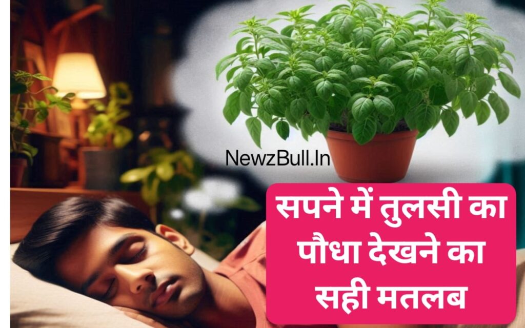 सपने में तुलसी का पौधा देखना sapne mein tulsi ka paudha dekhna . sapne mein tulsi dekhna . sapne me tulsi dekhna . sapne me tulsi ki puja karna