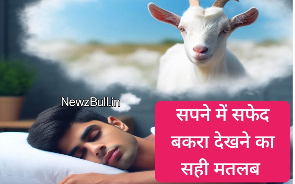 सपने में सफेद बकरा देखना sapne mein safed Bakra dekhna सपने में काला बकरा देखना. सपने में बकरा काटते हुए देखना.