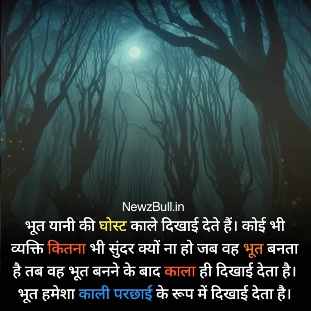 horror facts in hindi हॉरर फैक्ट इन हिंदी ghost facts in hindi गोस्ट फैक्ट इन हिंदी . paranormal facts in hindi पैरानॉर्मल फैक्ट इन हिंदी .